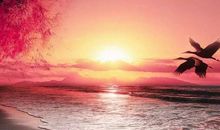 心痛老公工作辛苦的句子说说心情