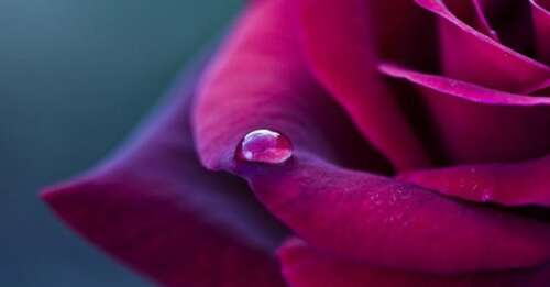 宽恕心痛的句子1