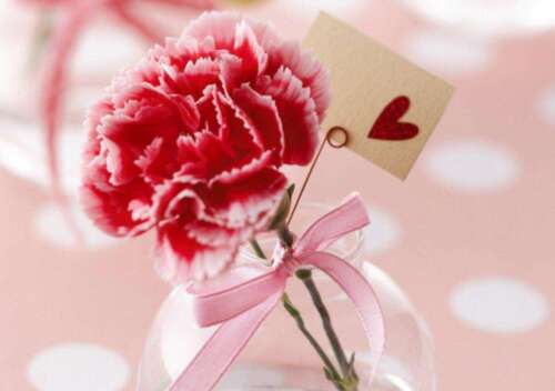 赞美母亲的句子赞美母亲的经典语录