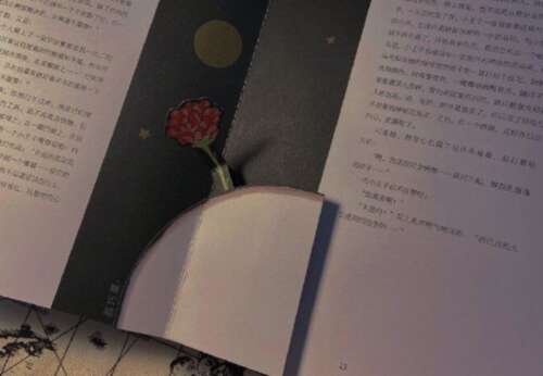 赞美老师的经典优美句子，赞美老师的感言1