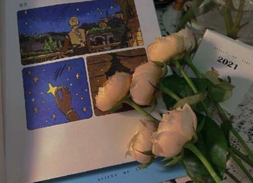 赞美老师的经典优美句子，赞美老师的感言2