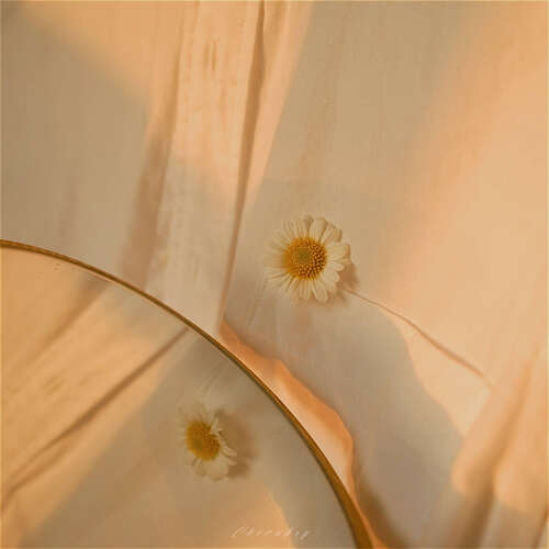 牛年给公司的问候