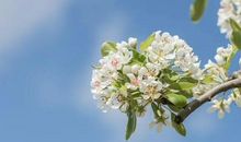 适合发心情愉悦的句子