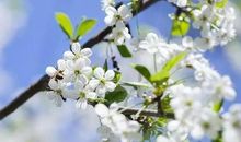 心情致自己的说说