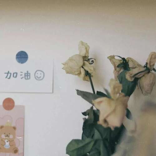 关于青少年的审美句子