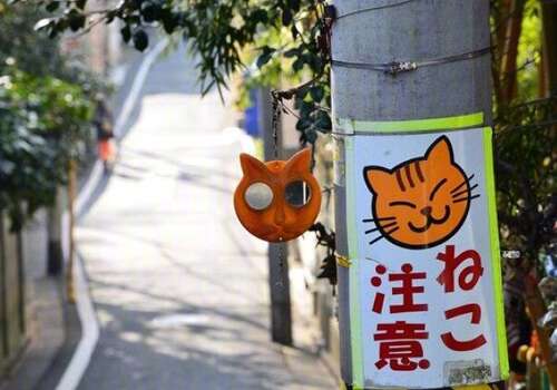 一起旅行的句子