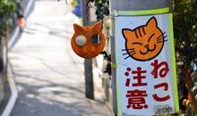 一起旅行很开心的句子