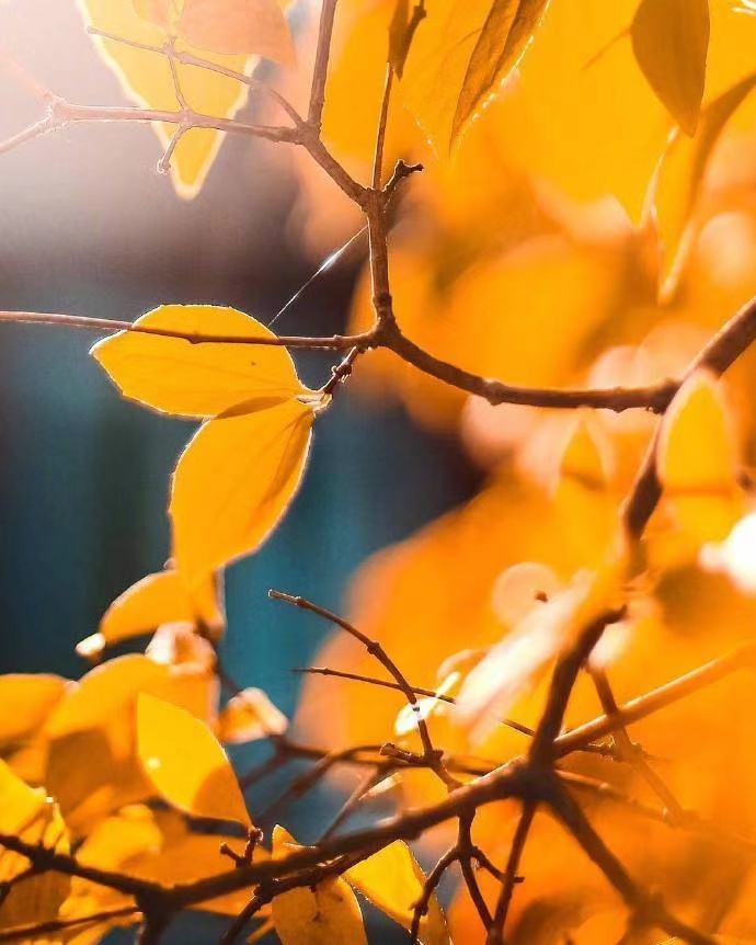 令人窒息的悲伤句子1