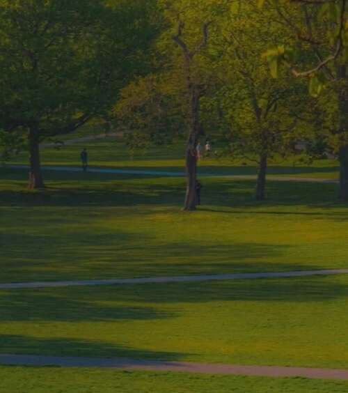 在森林公园度过快乐旅行的经典句子