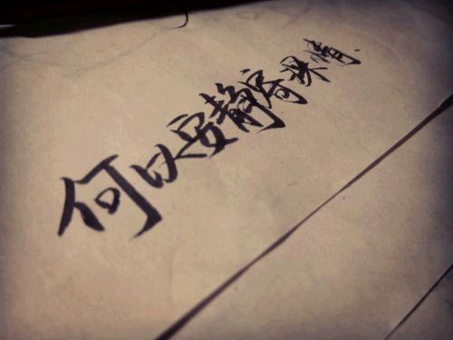 鼓励阅读的审美句子