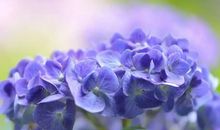 热血青春正能量的句子