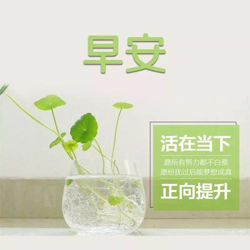 有见识的朋友圈