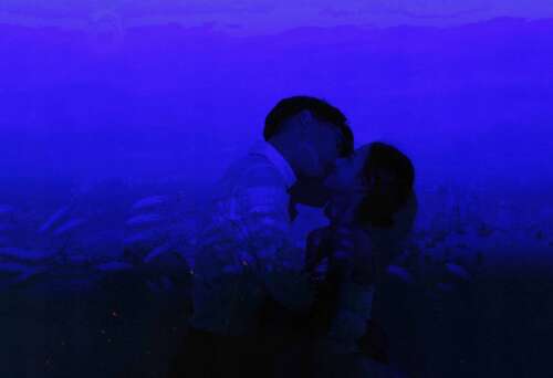 连爱幸福快乐的句子