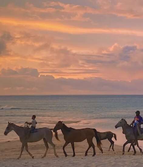 让别人敞开心hearts的句子