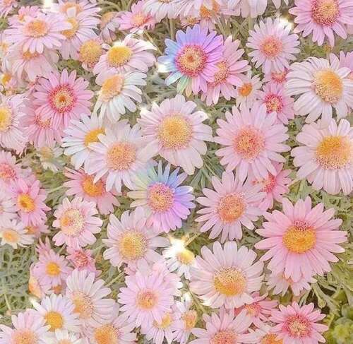 简短明了的句子1