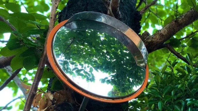 瞬间的朋友超级热复制1