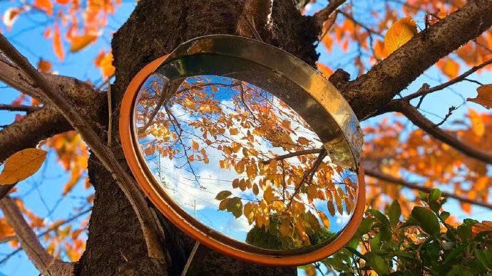 瞬间的朋友超热复制