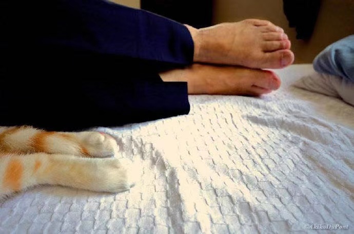 努力工作励志短语