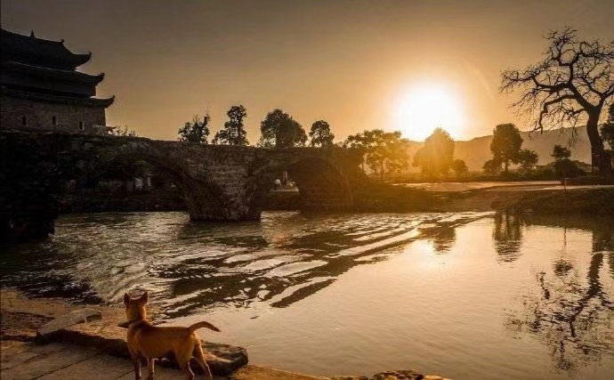 工作动机的励志短句1