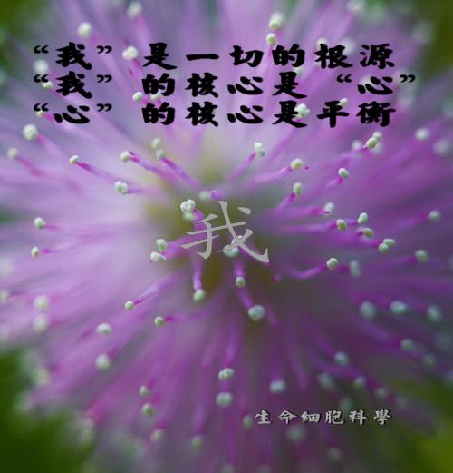 看看英语句子里的一切