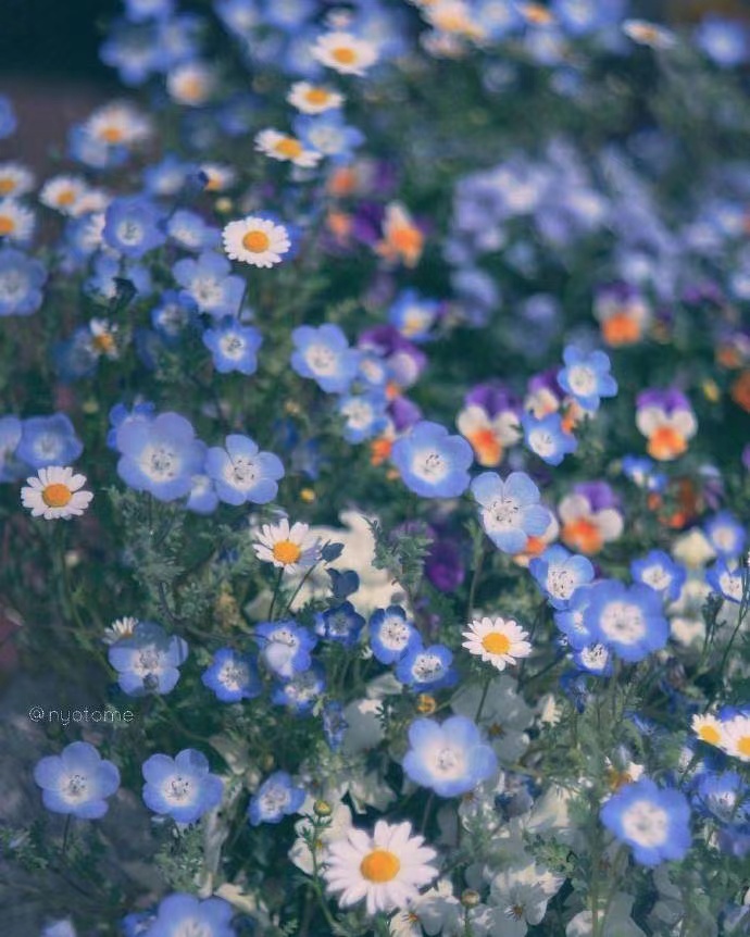 在牛年，所有愿望成真1