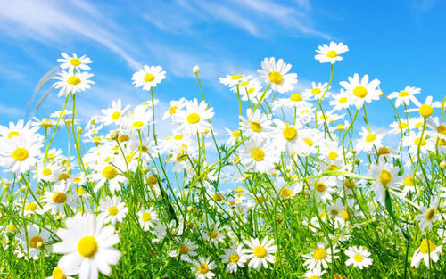 饮食愉快的句子2