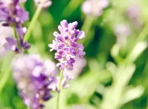 消失的感伤句子