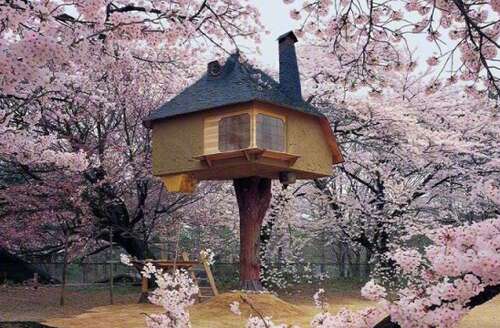 与家人生日快乐的句子