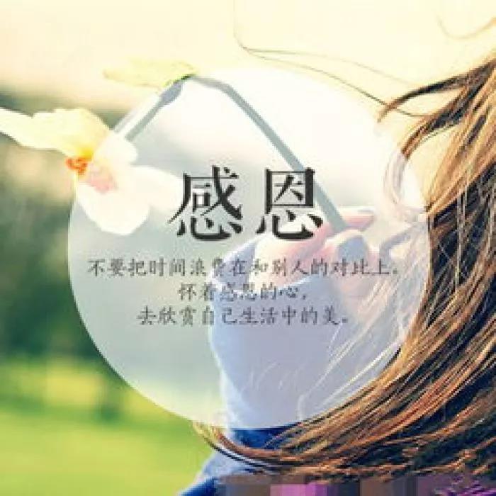 感激的简短句子