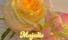 经典的微信句子 高情商发圈被秒赞的句子