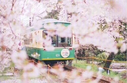 描述快乐在一起旅行的句子1