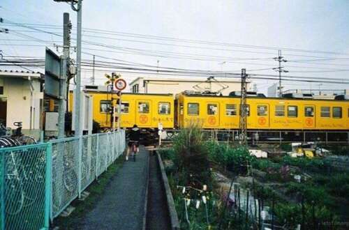 描述快乐在一起旅行的句子