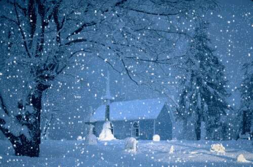 大雪节2的美学用语