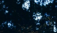 形容累也开心的句子