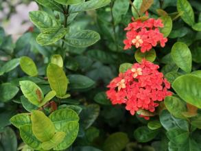 快乐女孩一句话