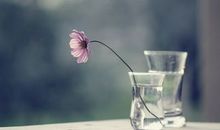 生孩子开心喜悦的句子