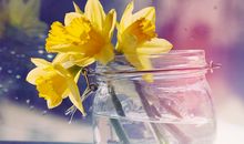 阳光励志唯美句子