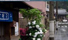 给自己开心的句子