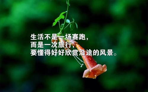 朋友的时刻谈论情绪励志短语