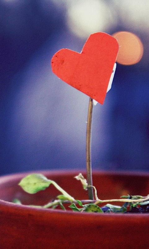 赞美别人的句子2