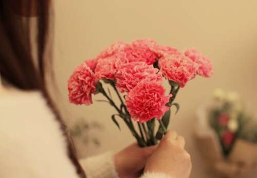 感恩节的轰动性声明，感恩节朋友的简短副本