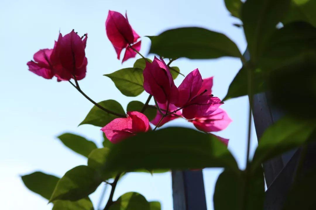 谢谢你认识一个好老板。谢谢您的诚意。 1个