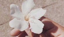 暖心治愈正能量句子