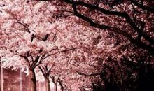 发朋友圈有多开心的句子