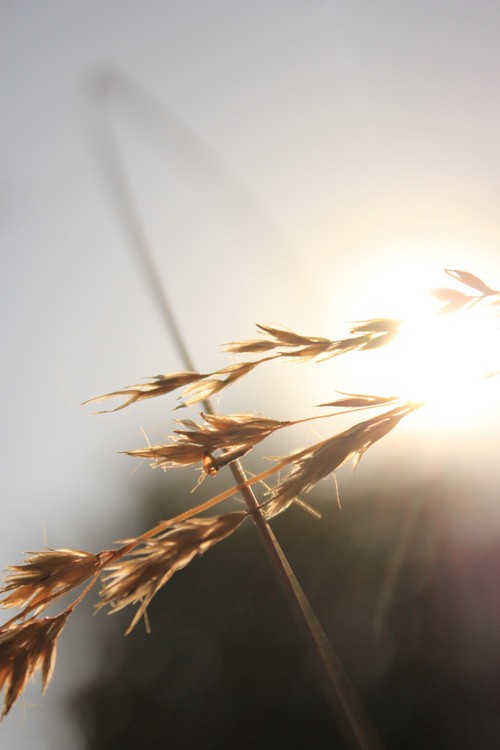 发送一句话，说明您在Moments 1中的幸福程度