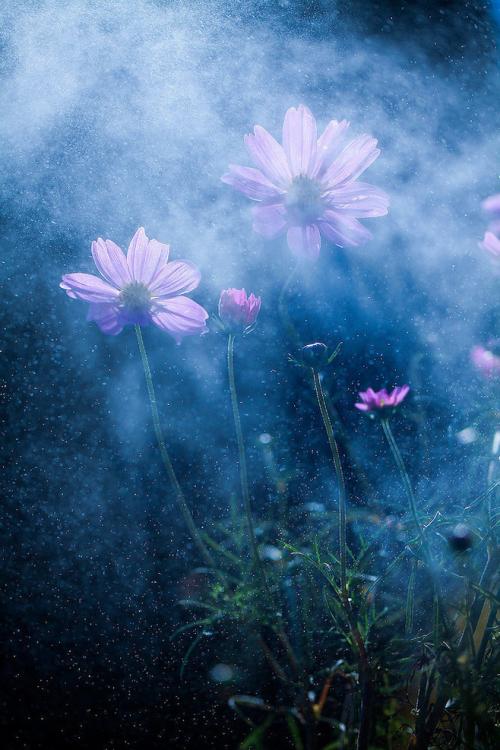 寄出一句关于你在Moments 2中的快乐的句子