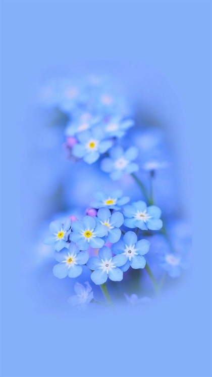 幸福的恋人的美丽句子1