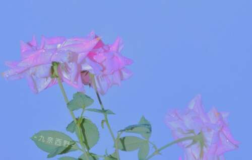 对自己的正面评价