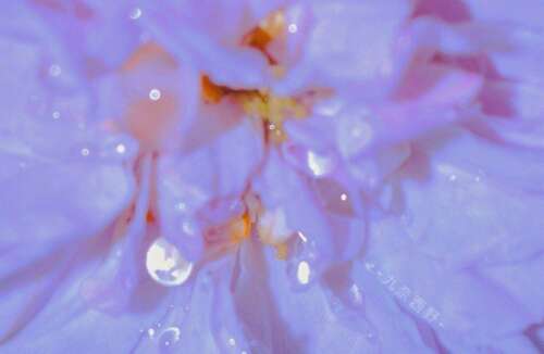 对我自己的正面评价1