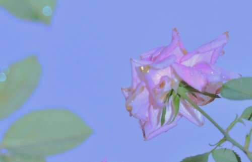 对自己说正面话2